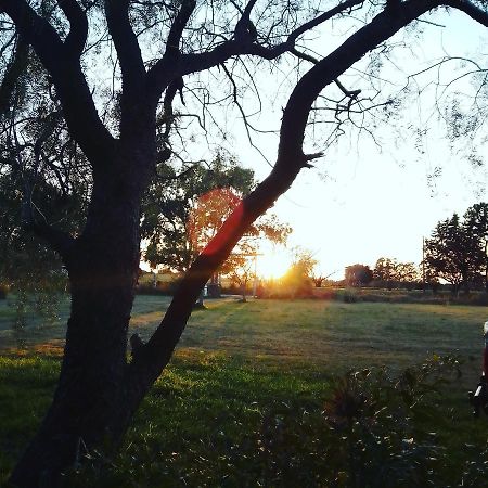 Вилла La Nena: Casa De Campo A 15 Minutos Del Centro. Колония-дель-Сакраменто Экстерьер фото